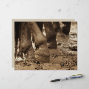 Pferdefüße Western Vintag Sepia Brown Rustikal