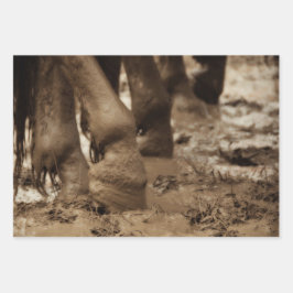 Pferdefüße Western Vintag Sepia Brown Rustikal Geschenkpapier Set