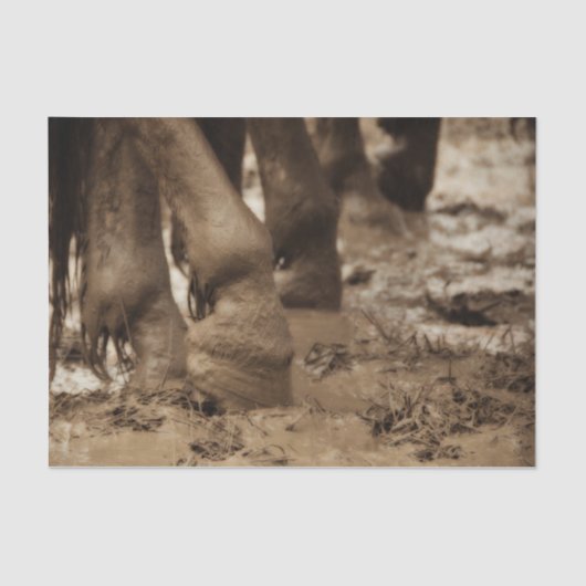 Pferdefüße Western Vintag Sepia Brown Rustikal Seidenpapier (Vorderseite)