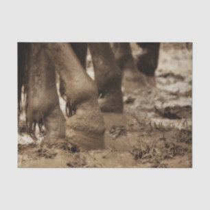 Pferdefüße Western Vintage Sepia Braun Rustikal Seidenpapier