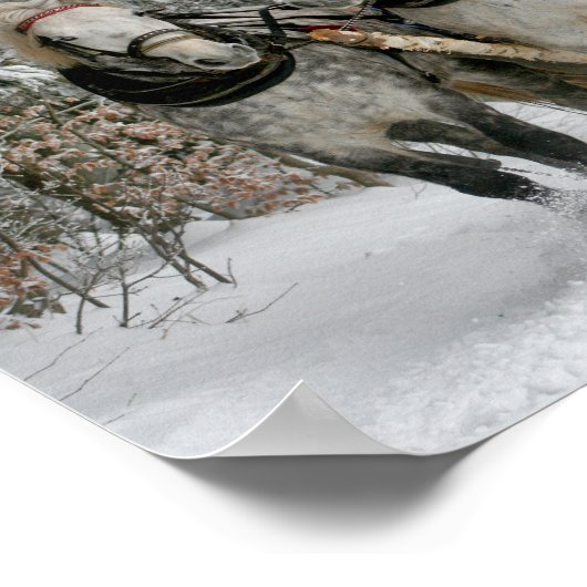 Pferdefüßler Poster (Ecke)