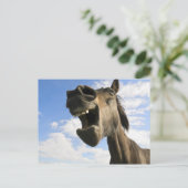 Pferdegähne Postkarte (Stehend Vorderseite)
