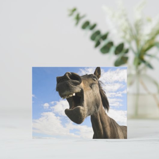 Pferdegähne Postkarte (Stehend Vorderseite)