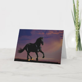 Pferdegalopp frei karte