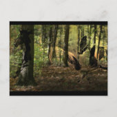 Pferdegeist-Postkarten Postkarte (Vorderseite)