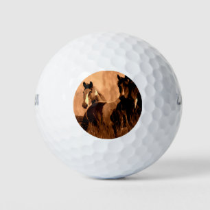 Pferdegeister Golfball