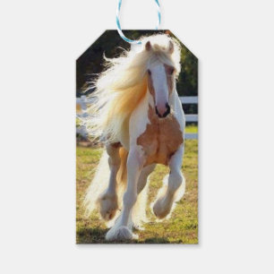 Pferdegeschenkumbau Geschenkanhänger