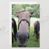 Pferdegesicht Briefpapier (Vorne/Hinten)