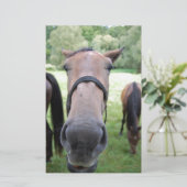 Pferdegesicht Briefpapier (Stehend Vorderseite)