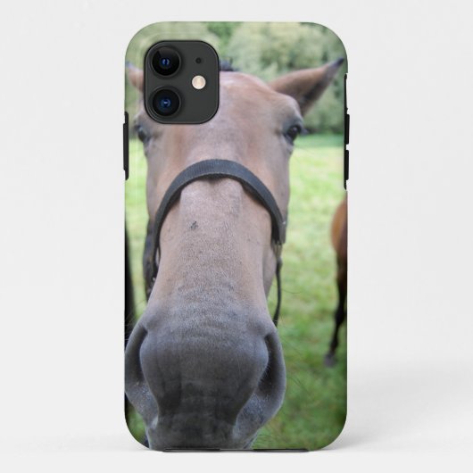 Pferdegesicht Case-Mate iPhone Hülle (Rückseite)