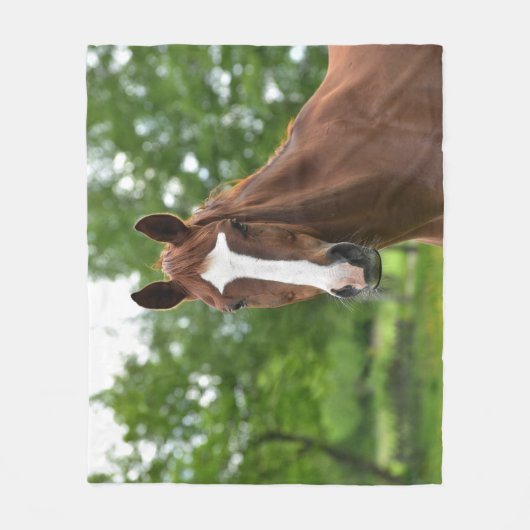 Pferdegesicht mit Markierung Fleecedecke (Vorderseite)