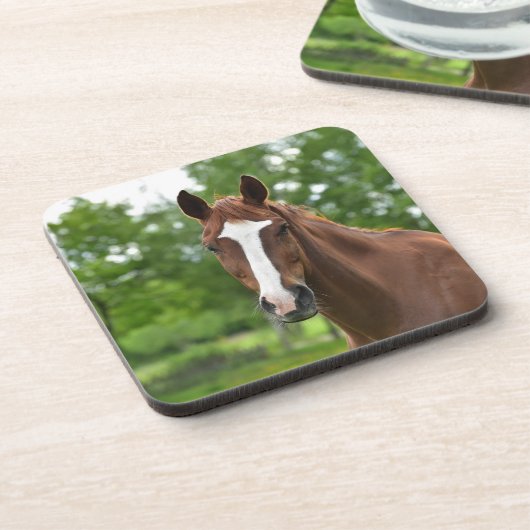 Pferdegesicht mit Markierung Untersetzer (Linke Seite)