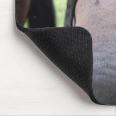Pferdegesicht Mousepad (Ecke)