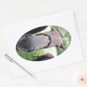 Pferdegesicht Ovaler Aufkleber (Umschlag)