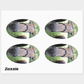 Pferdegesicht Ovaler Aufkleber (Blatt)