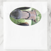 Pferdegesicht Ovaler Aufkleber (Tasche)