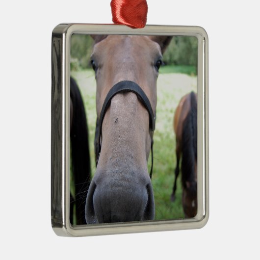 Pferdegesicht Silbernes Ornament (Rechts)
