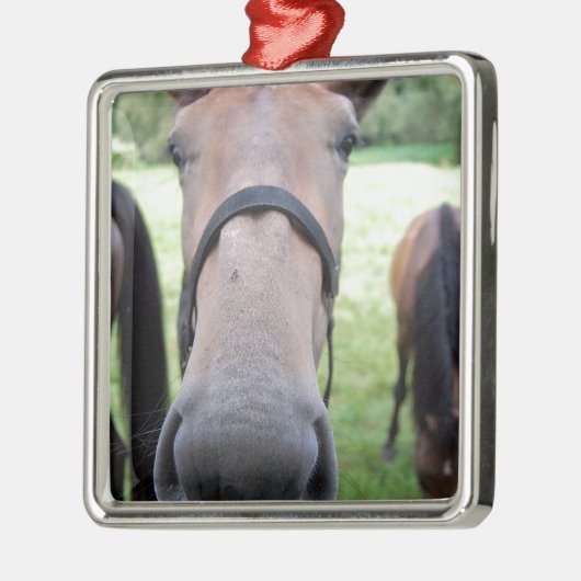 Pferdegesicht Silbernes Ornament (Links)