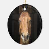 Pferdegesichts-Fotografie Keramikornament (Links)