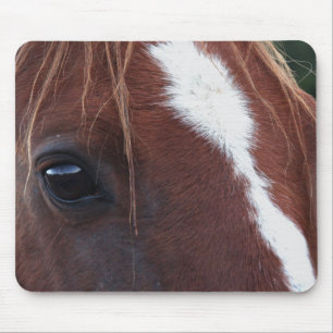 Pferdegesichts-Nahaufnahme Mousepad