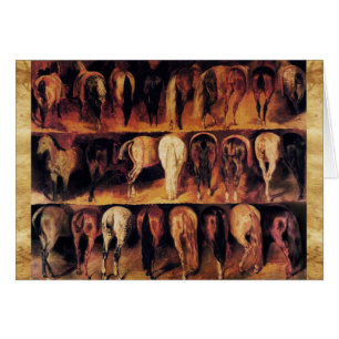 Pferdegewächse,Braunparkett