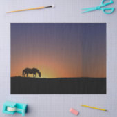 Pferdegewebe Seidenpapier (Basteln)