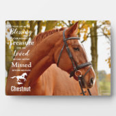 Pferdegeweih-Foto Fotoplatte (Vorderseite)