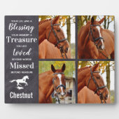 Pferdegeweih-Geschenk Pferderücken Beileid Keepake Fotoplatte (Vorderseite)