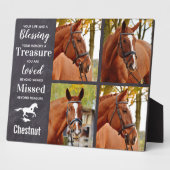 Pferdegeweih-Geschenk Pferderücken Beileid Keepake Fotoplatte (Seite)