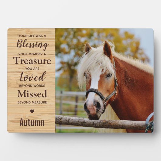 Pferdegewitter Fotoplatte (Vorderseite)