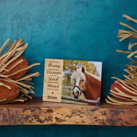 Pferdegewitter Fotoplatte (Seite)