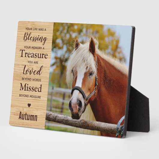 Pferdegewitter Fotoplatte (Seite)