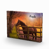 PferdeGirl Fotoblock (Rechts)