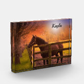 PferdeGirl Fotoblock (Links)