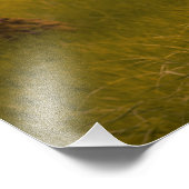 PferdeGirl Fotodruck (Ecke)