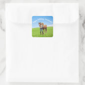 PferdeGirl Geburtstagsfeier Sonderbotschaft Quadratischer Aufkleber (Tasche)