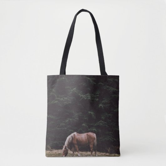 PFERDEGRAZIERUNG IM SCHATZ DER KONFIKER TASCHE (Vorderseite)