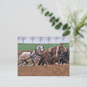 Pferdegruppe(2)-Postkarte Postkarte (Stehend Vorderseite)