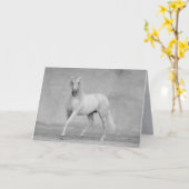 Pferdegrußkarte - Klassischer spanischer Hengst Karte (Gelbe Blume)