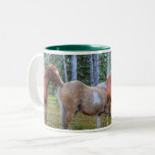 Pferdehahn-Foto auf einer BC Ranch Zweifarbige Tasse (Vorderseite Links)