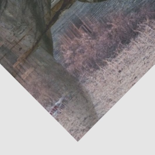 Pferdehaltung Seidenpapier (Detail)