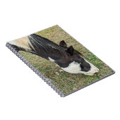 Pferdeheft Notizblock (Rechte Seite)