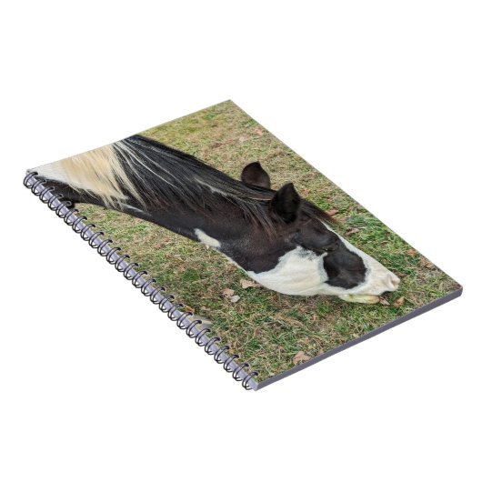 Pferdeheft Notizblock (Rechte Seite)