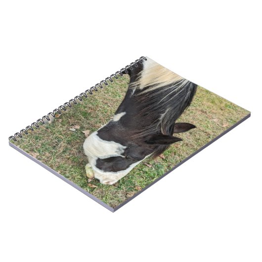 Pferdeheft Notizblock (Linke Seite)