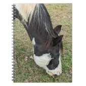 Pferdeheft Notizblock (Vorderseite)
