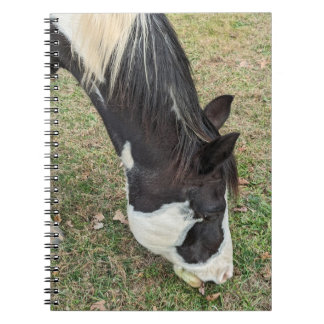 Pferdeheft Notizblock