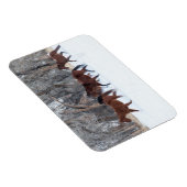 Pferdeherde, die in Winterschnee laufen Magnet (Rechte Seite)