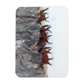 Pferdeherde, die in Winterschnee laufen Magnet (Vertikal)