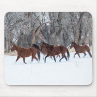 Pferdeherde, die in Winterschnee laufen