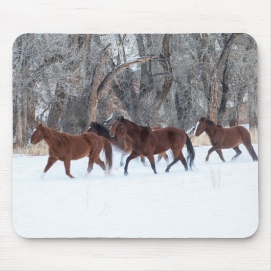 Pferdeherde, die in Winterschnee laufen Mousepad (Vorne)